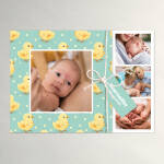 Faire-part naissance Poussins