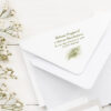 Enveloppes Gypsophile